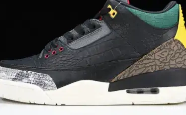 CV3583-003 3 “ANIMAL SE INSTINCT JORDAN AIR 2.0” 0619